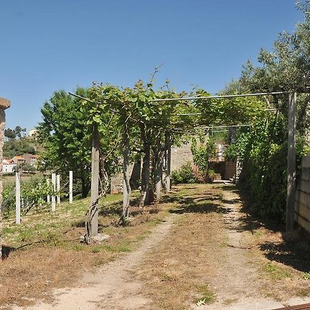 Вилла Quinta Do Vale Sanguinho Сейя Экстерьер фото