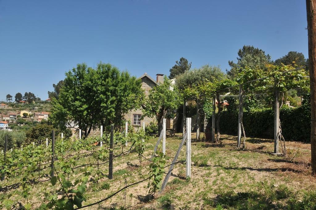 Вилла Quinta Do Vale Sanguinho Сейя Экстерьер фото